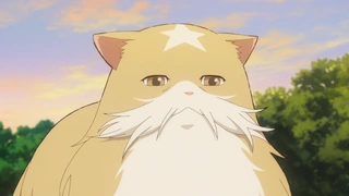 猫与龙 第6话