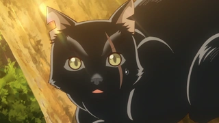 猫与龙 第4话