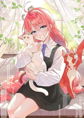 猫与龙