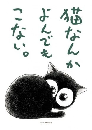 为什么猫都叫不来