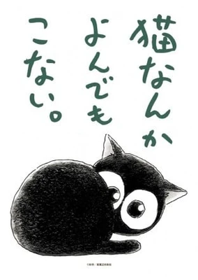 为什么猫都叫不来