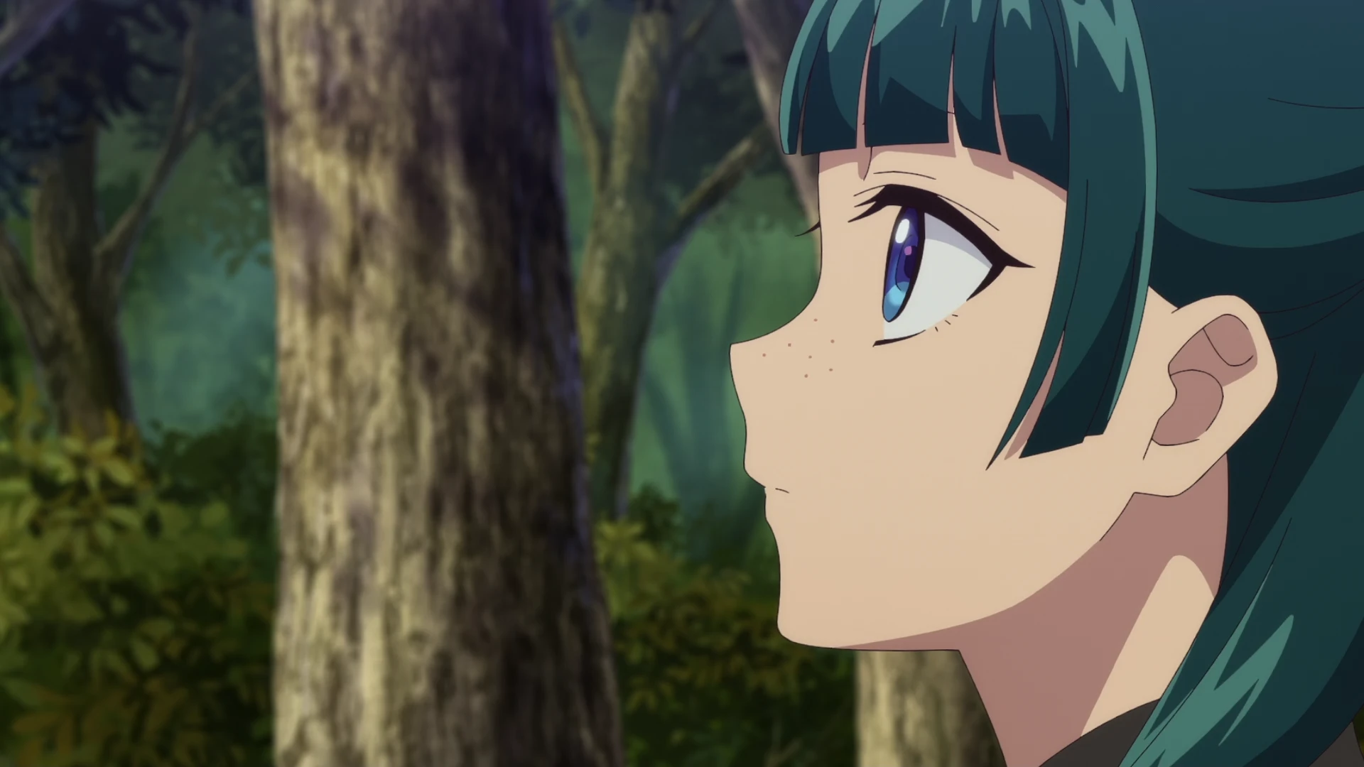 药屋少女的呢喃 第二季 第41话