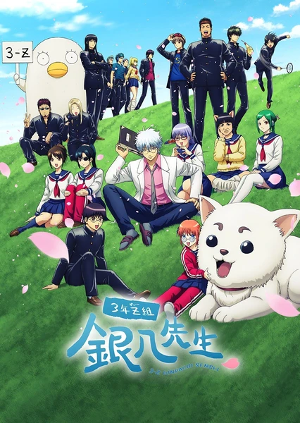 3年Z班银八老师